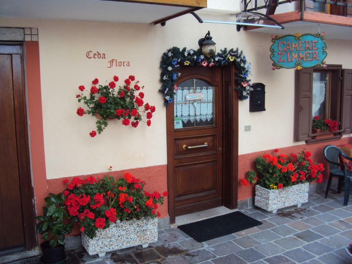 La Casa Di Beppe Appartamento E Camere Danta Exteriör bild